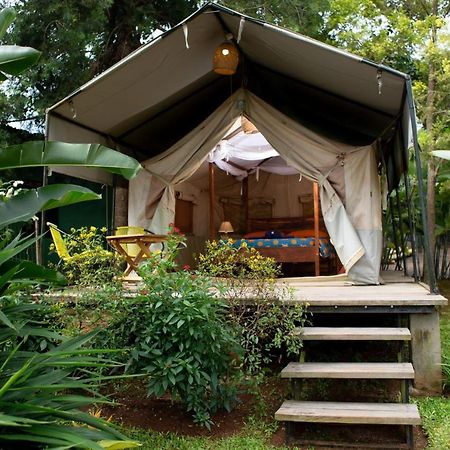 אנטבה Bluemonkey Guesthouse מראה חיצוני תמונה