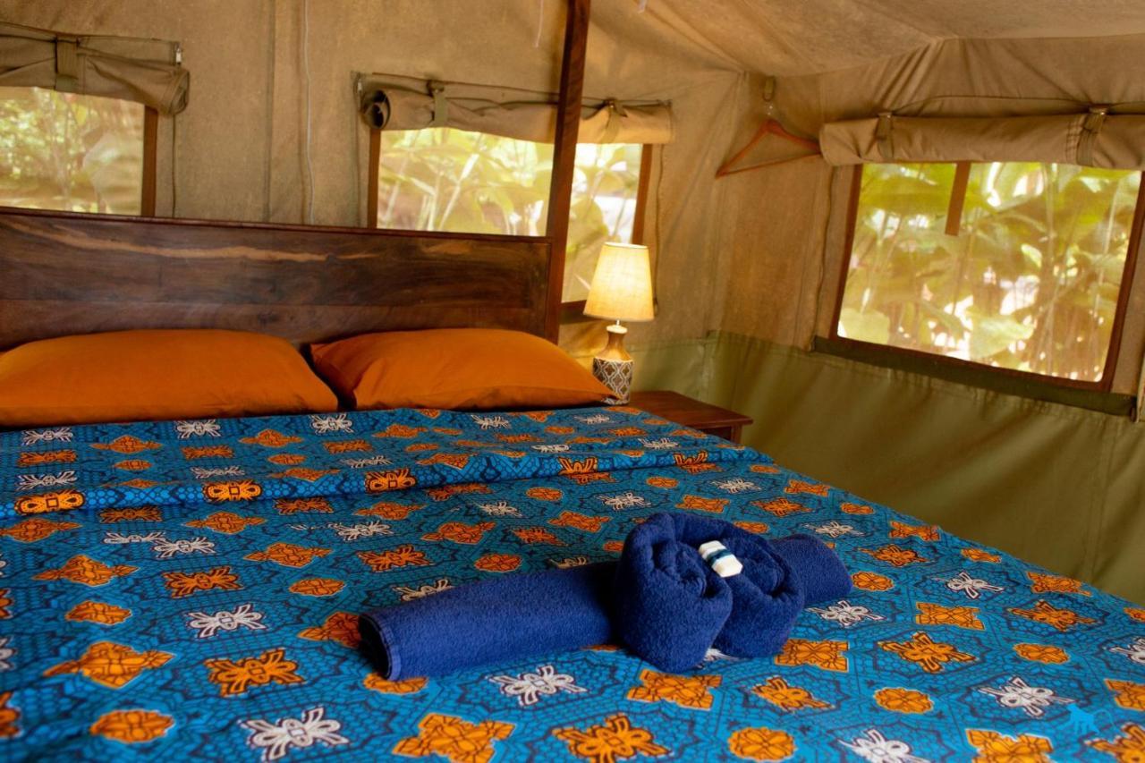 אנטבה Bluemonkey Guesthouse מראה חיצוני תמונה