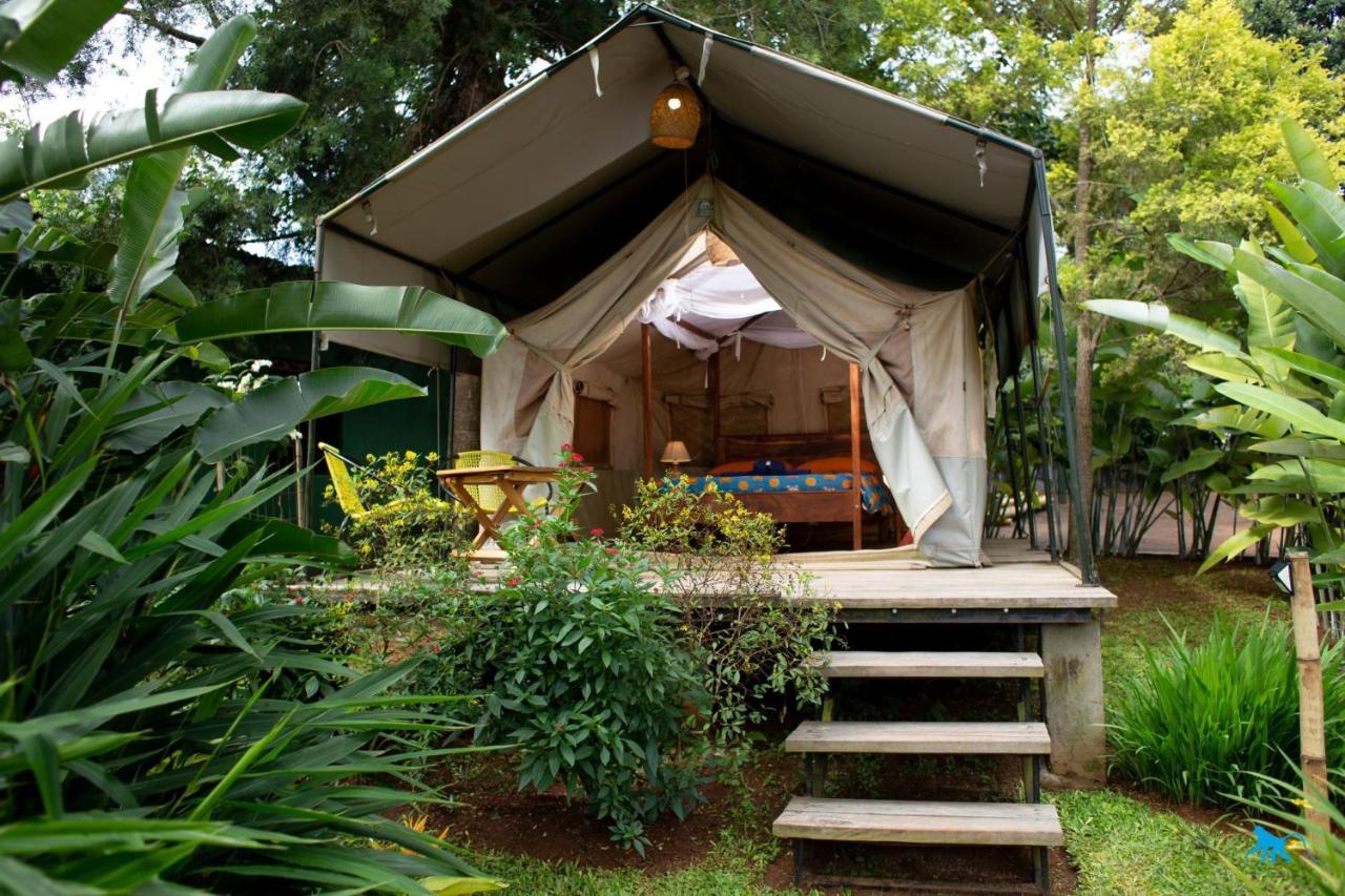 אנטבה Bluemonkey Guesthouse מראה חיצוני תמונה