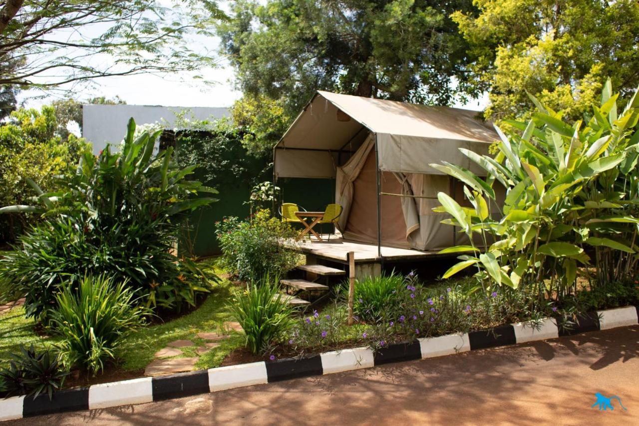אנטבה Bluemonkey Guesthouse מראה חיצוני תמונה