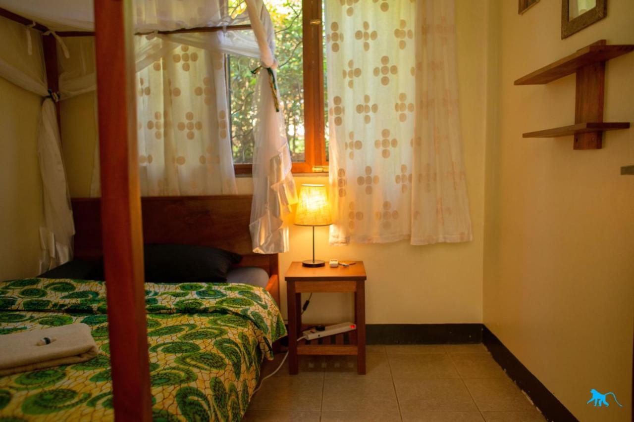 אנטבה Bluemonkey Guesthouse מראה חיצוני תמונה