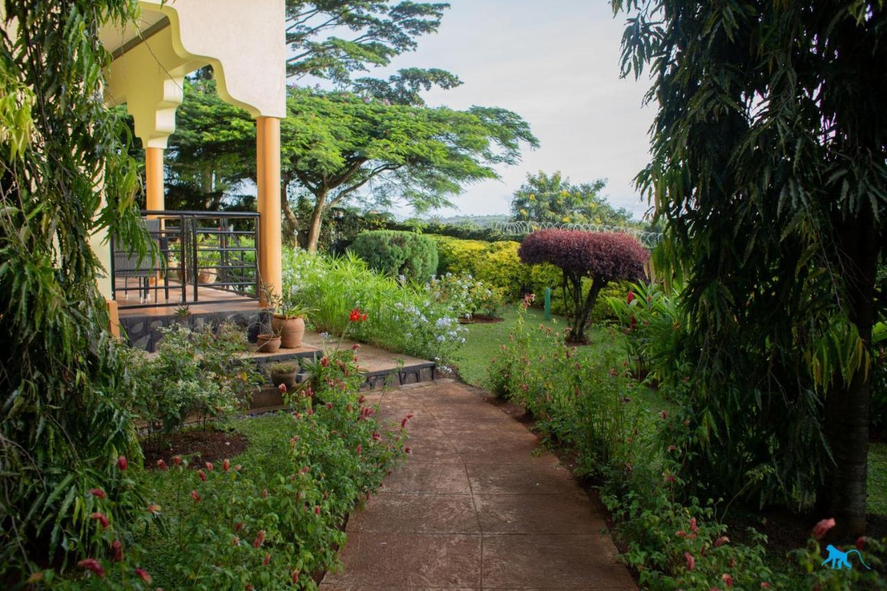 אנטבה Bluemonkey Guesthouse מראה חיצוני תמונה