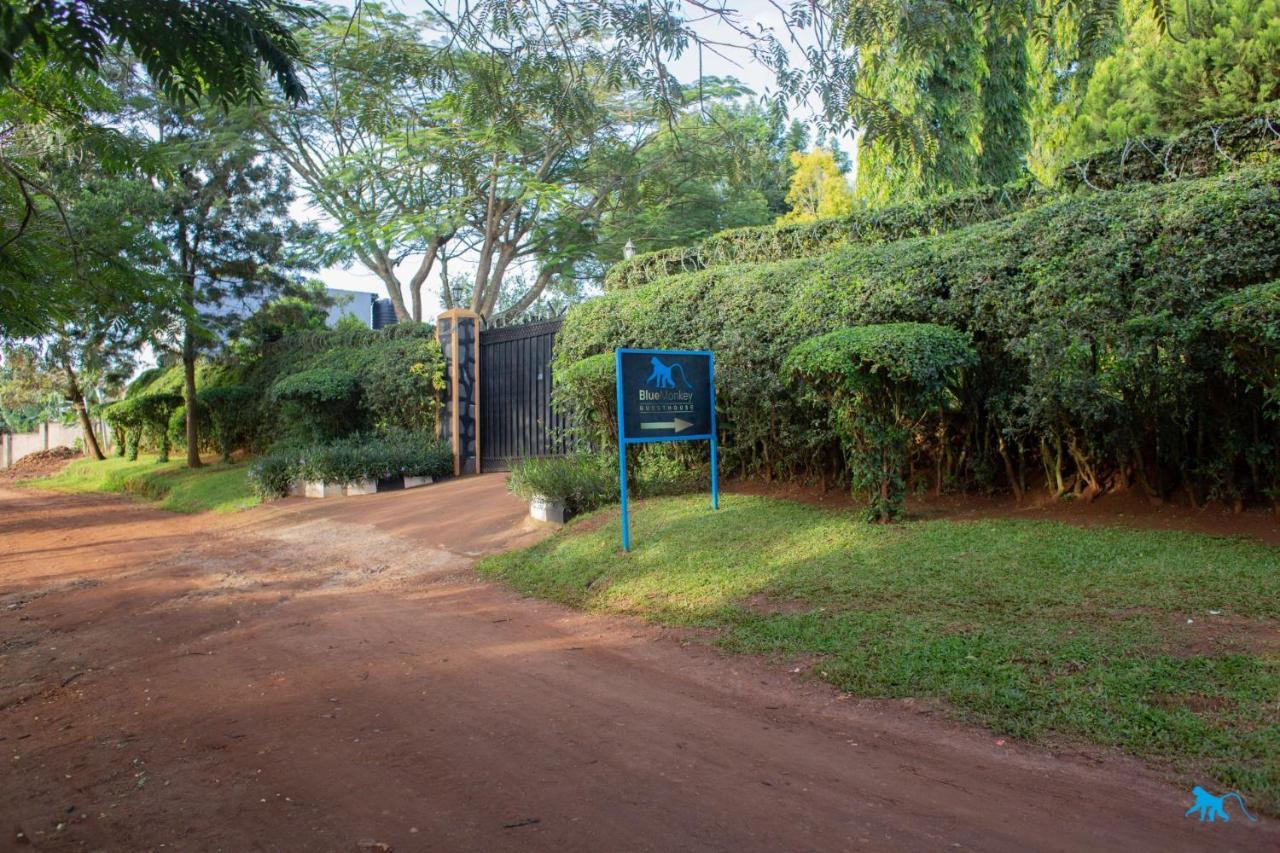 אנטבה Bluemonkey Guesthouse מראה חיצוני תמונה